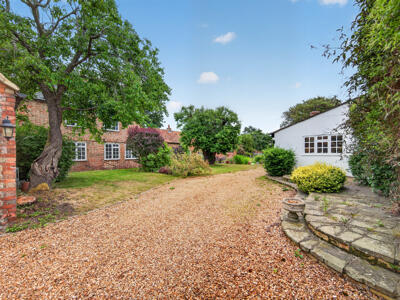 Picture 30